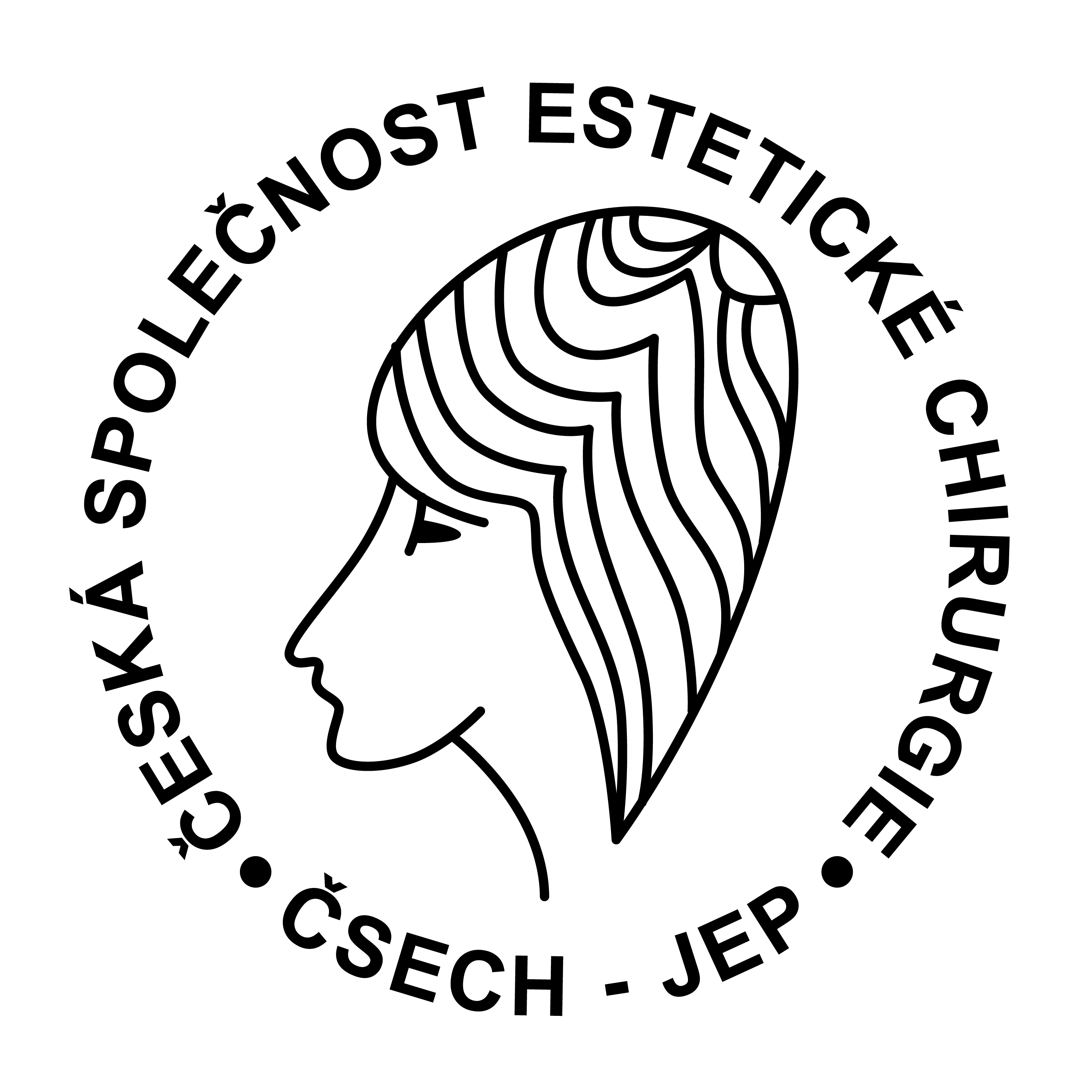 Logo ČLS JEP